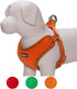 Blueberry Pet 4 Colors Better Basic Dog Harness Vest, Orange Fusion, Chest Girth 17" - 21"