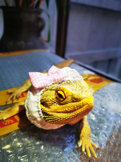Lizard Bearded Dragons Stretchy Bowtie - Handmade Pink White Plaid Collar with Elastic Lace Decor for Reptiles