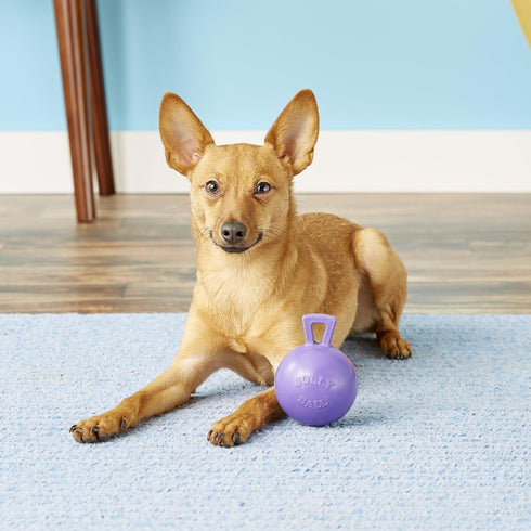 Jolly Pets Tug-n-Toss Heavy Duty Dog Toy Ball with Handle, 4 Inches/Petite, Purple (404 PR)