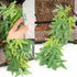 50cm/20in Artificial Fake Plastic Water Grass Plants for Fish Tank Aquarium Decor