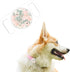 Rifle Paper Co. Airtag Dog Collar Holder, Waterproof Airtag Case, Unique Floral Design for Dog Collar