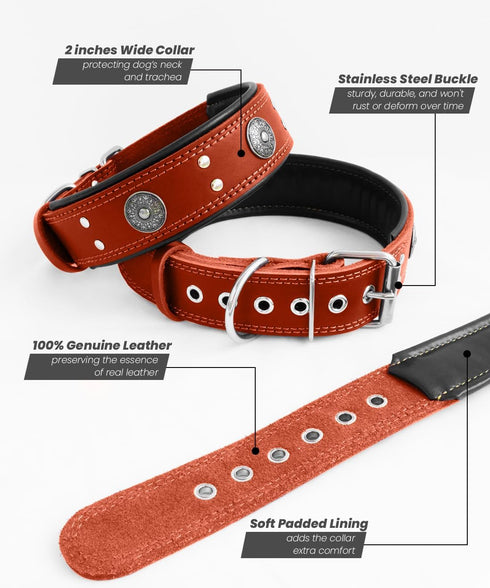 Heavy Duty Genuine Leather Dog Collar, 2 inches Wide, Handmade, Soft, Luxury, Best for Large Medium Dogs, Orange