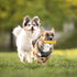 Dog Chew Toys for Aggressive Chewers, Indestructible Durable Squeaky Toys for Medium Large Breeds, Corn Stick Toy