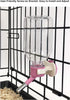 Choco Nose Patented Mini No-Drip Water Bottle/Feeder for Small Pets, 10.2oz, Nozzle 10mm, Pink (C125)