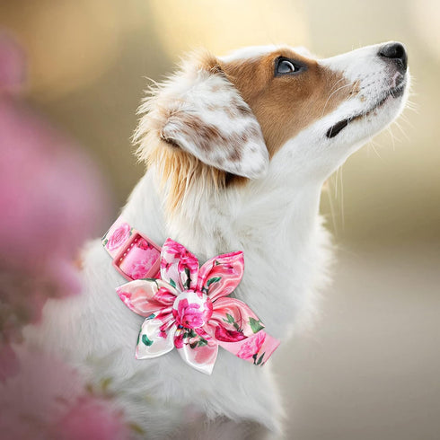 Dog Collar Floral Girl Pink Dog Collar with Rose Flower Bow Tie Dog Collar for Cute Female Cats Dogs Spring Summer Season Dog Collar for Small Medium Large Dogs for Your Furbaby