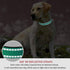 Reflective Dog Collar Adjustable Safety Nylon for Small Medium Large Dogs, Green L