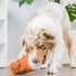 Huxley & Kent for Dogs | Puggin Spice Latte (Large) | Fall Funny Plush Toy with Squeaker, Dog Gift