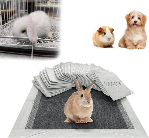 PeSandy Rabbit Pee Pads, Pet Toilet/Potty Training Pads, 100PCS All Absorb & Odor