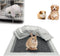 PeSandy Rabbit Pee Pads, Pet Toilet/Potty Training Pads, 100PCS All Absorb & Odor