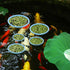 5pcs Aquarium Floating Plant Rings, Foam Round Fish Feeding Rings to Keep Floating Plants in Place (Blue)