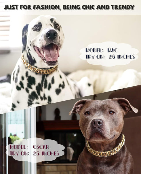 Gold Chain Dog Collar - 3/4 Width Cuban Link Necklace, Cute Fashion Pet Collar for Pit Bulldog, Light Metal Jewelry