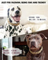 Gold Chain Dog Collar, 3/4 inch Cuban Link Necklace for Pit Bulldog, Light Metal Jewelry Chain, 17"