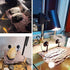 Flushbay Turtle Floating Basking Platform, Aquarium Decorations with Suction Cups for Tortoise Climbing