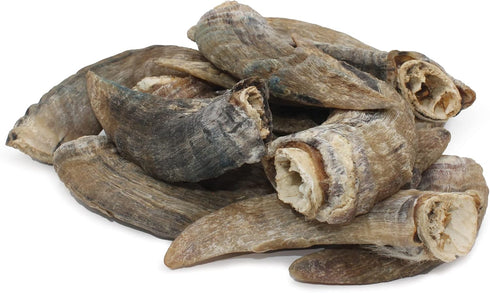 Icelandic+ Lamb Horn with Marrow - Small 4-5.5" Dog Chew, All-Natural Edible Treat for Puppies and Small Dogs