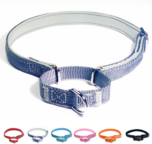 Martingale Dog Collars: Reflective Safety Puppy Collar, Adjustable Soft Nylon Training Collar for Small Medium Large