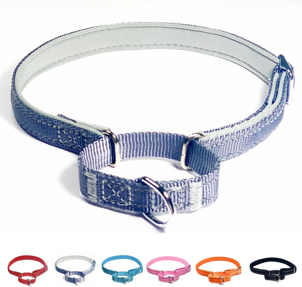 Martingale Dog Collars: Reflective Safety Puppy Collar, Adjustable Soft Nylon Training Collar for Small Medium Large