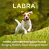 Labra Dog Extra Supportive Canine Rear Leg Hock Joint Compression Wrap, Medium, for Recovery and Injury Prevention