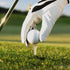 Golf Tees, 100 Pack of 3 1/4 Inch Professional Natural Bamboo Tees, Durable & Stable System