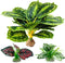 Reptile Artificial Plants, Terrarium Decorations for Aquarium Fish Tank, Amphibian Habitat Accessories