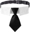 ADOGGYGO Adjustable Dog Neck Tie Collar with Black Necktie, Wedding Formal Tux Collars for Small Pets