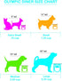 Platinum Pets Olympic Single Diner Feeder, Small, Caribbean Teal, with Stainless Steel Dog Bowl