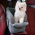 Centre Console Dog Car Seat, Booster Seat for Small Dogs and Cats, Pets Up to 22lbs