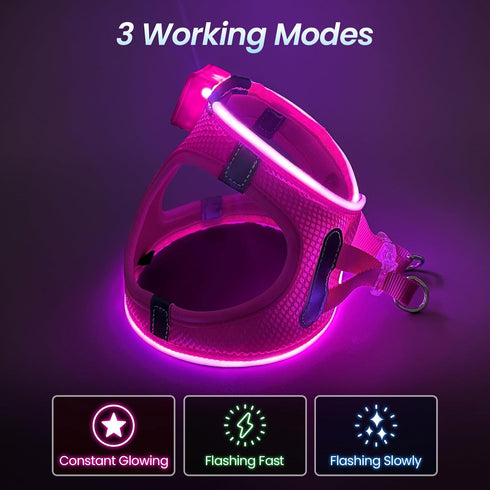 PceoTllar Light Up Dog Harness, LED No Pull Reflective Dog Harness, Flashing Lighted for Night Walking - Small/Medium