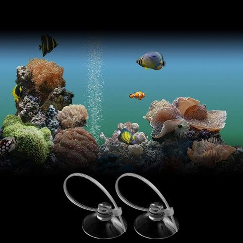 FEBSNOW Aquarium Suction Cups with 30 PCS Adjustable Cable Ties for Plants, Planter, Binding Moss Shrimp Nest (20)