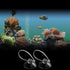 FEBSNOW Aquarium Suction Cups with 30 PCS Adjustable Cable Ties for Plants, Planter, Binding Moss Shrimp Nest (20)