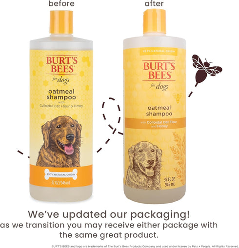 32 Oz Burts Bees for Pets Oatmeal Dog Shampoo with Honey, Soothing Dog Shampoo for Itchy and Sensitive Skin, pH