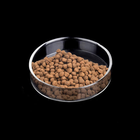 WEAVERBIRD 60mm Aquarium Shrimp Feeder Dish, Round Clear Glass Feeding Bowls for Fish Tank