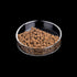 WEAVERBIRD 60mm Aquarium Shrimp Feeder Dish, Round Clear Glass Feeding Bowls for Fish Tank
