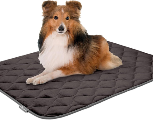 Paw Inspired Washable Padded Crate Mats for Dogs | 41” x 28” Pad, Fits 42-inch Kennels, Leakproof Waterproof Bottom,