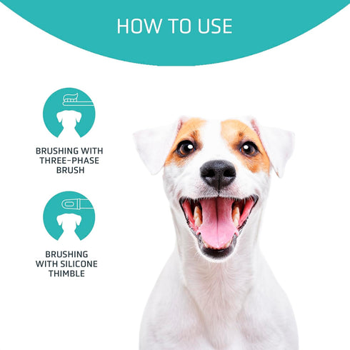 Pack ARTERO Dental Smile