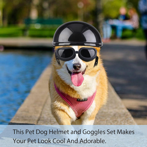 Small Dog Helmet Goggles, Motorcycle Helmet UV Protection Doggy Sunglasses with Adjustable Belt for Puppy Riding