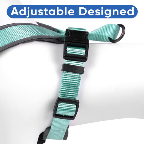 Pawtitas Reflective Dog Harness, Padded Dog Vest for Comfort Control, Great for Walking or Running, Small Teal
