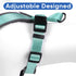 Pawtitas Reflective Dog Harness, Padded Dog Vest for Comfort Control, Great for Walking or Running, Small Teal