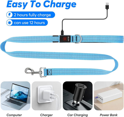 4 Ft Led Dog Leash - Rechargeable Light Up Waterproof, Safety Glow In The Dark for Night Walking, Nylon Reflective