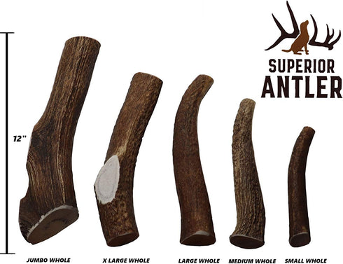 Large Antler Chew, Whole, Single Pack, All Natural Premium Grade A, L=6-10”, Made in The USA