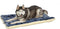 MidWest Homes Reversible Paw Print Pet Bed in Blue/White, X-Large Dog Bed, Measures 45.2L x 28W x 3.8H, Machine Wash