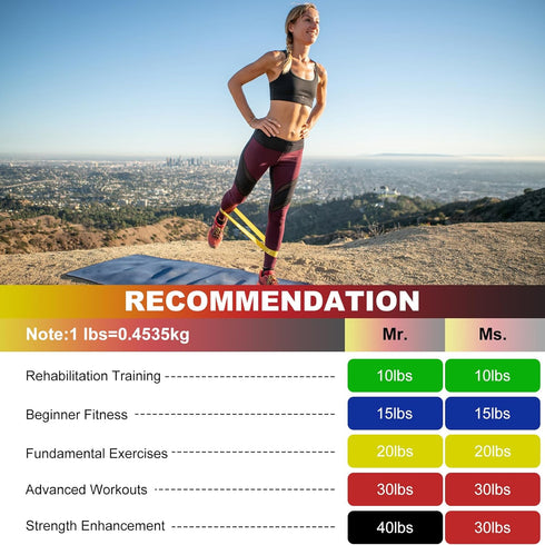 SZHLUX Resistance Bands Set with Carry Bag and Instruction Guide, Versatile for Strength Training and Rehabilitation