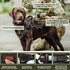 Tactical Dog Harness Large, Military Service Weighted Vest, No-Pull Training Harness with Leash Clips, Black