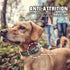 Auroth Reflective Dog Collar for Medium Large Dogs, Soft Nylon Adjustable Collar with Heavy Duty Metal D Ring