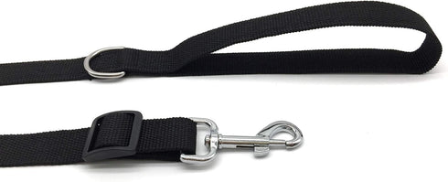 TAIAN Adjustable Nylon Dog Leash, 10 Foot Long Leashes for Medium Large Dogs