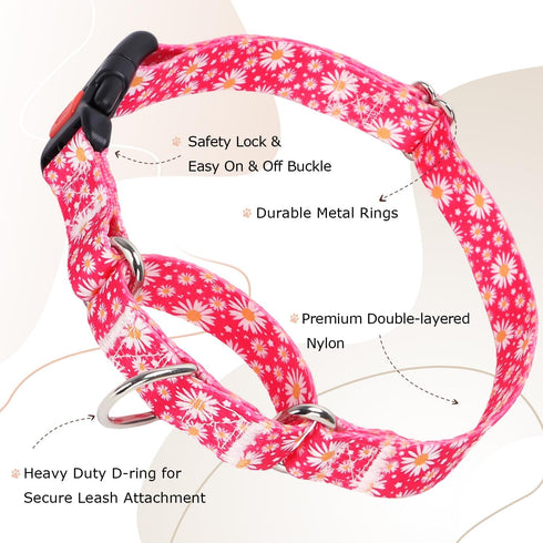 Martingale Collar for Dogs, Rose Daisy Flowers Dog Collar for Small Medium Large Dogs, Adjustable with Quick-Release