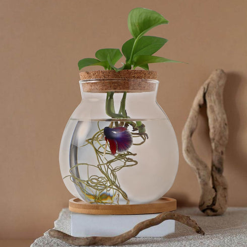 POPETPOP Clear Glass Desktop Fish Bowl with Wood Lid and Bamboo Stand, Hydroponic Planter Vase