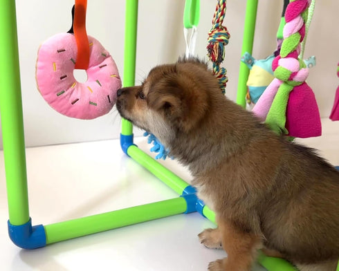 Amlmpet 9 Puppy Play Gym - PVC Frame with Hanging Toys for Small Dogs to Keep Them Busy, Dog Jungle Gym Center
