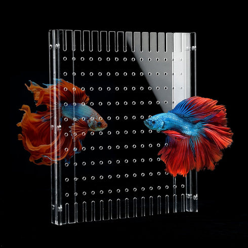 Aquarium Divider Clear, 10/15/20 Gallon Fish Tank Divider with Suction Cups (10 Gallon)