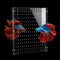 Aquarium Divider Clear, 10/15/20 Gallon Fish Tank Divider with Suction Cups (10 Gallon)