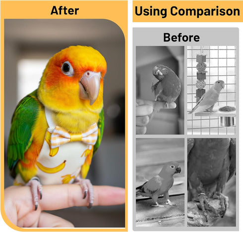 Telooco 6Pcs Bird Diaper, Reusable Parrot Diapers with Waterproof Inner - Washable Parrot Diapers for Indoor Parakeet